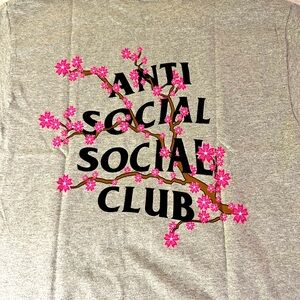 Antisocial Social Club Tee (gray/floral)